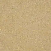 SALONE 040